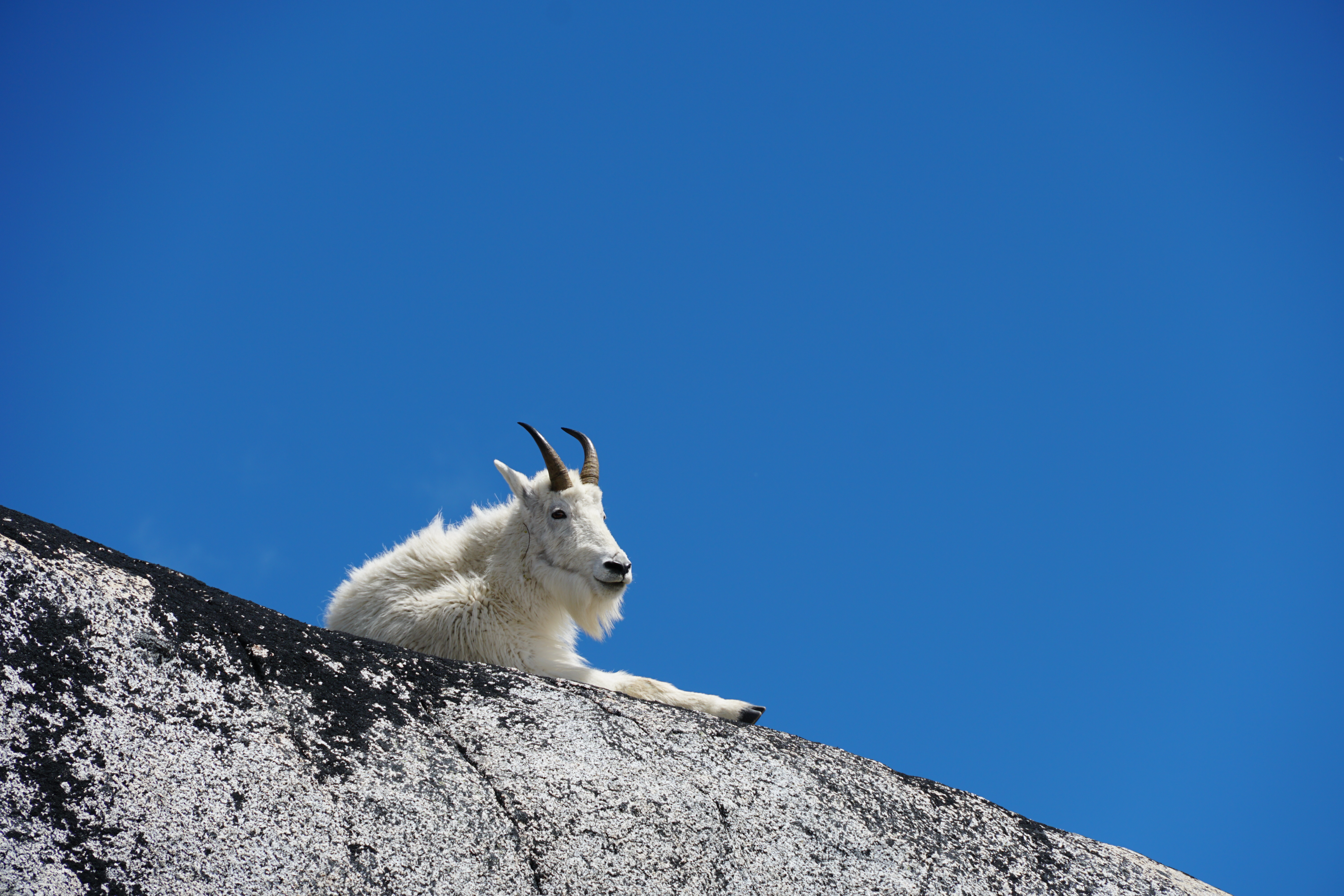 The Enchantments